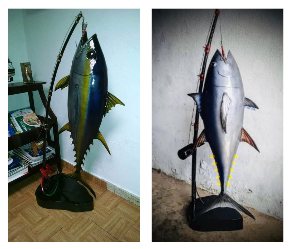 Tuna Artesania en MEtal